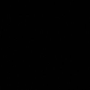 Meet your Posher, Janice